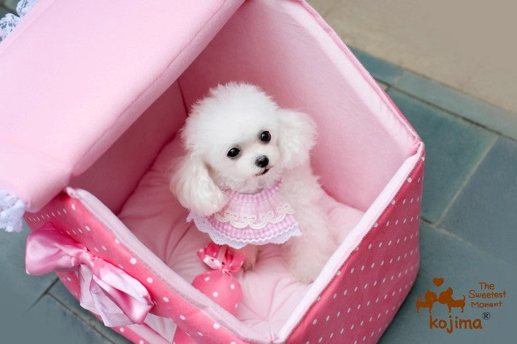 {{product_title}} - Cookies Wagging Friends Boutique