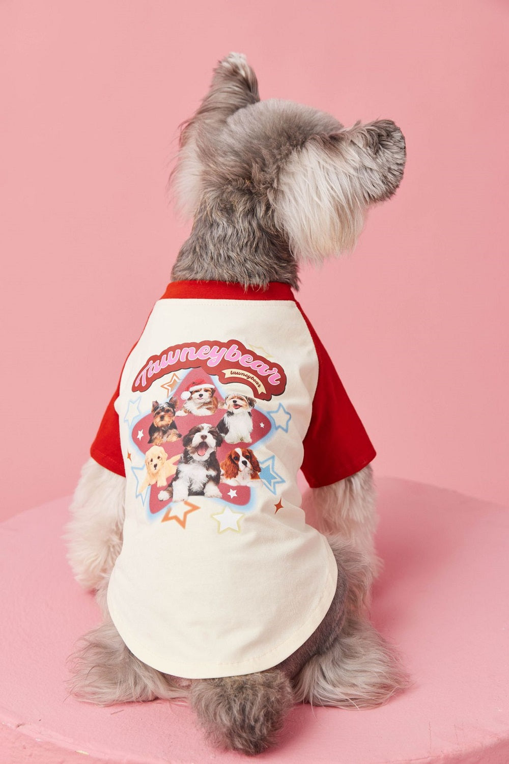{{product_title}} - Cookies Wagging Friends Boutique