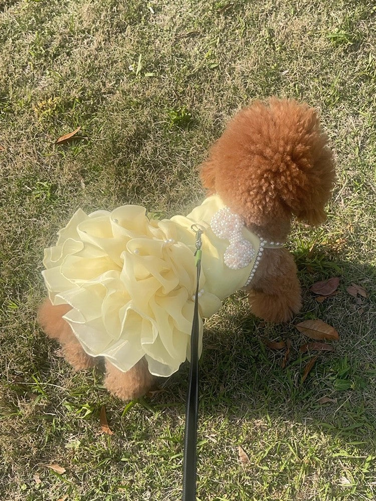 {{product_title}} - Cookies Wagging Friends Boutique