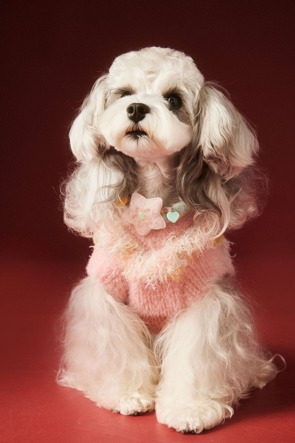 {{product_title}} - Cookies Wagging Friends Boutique