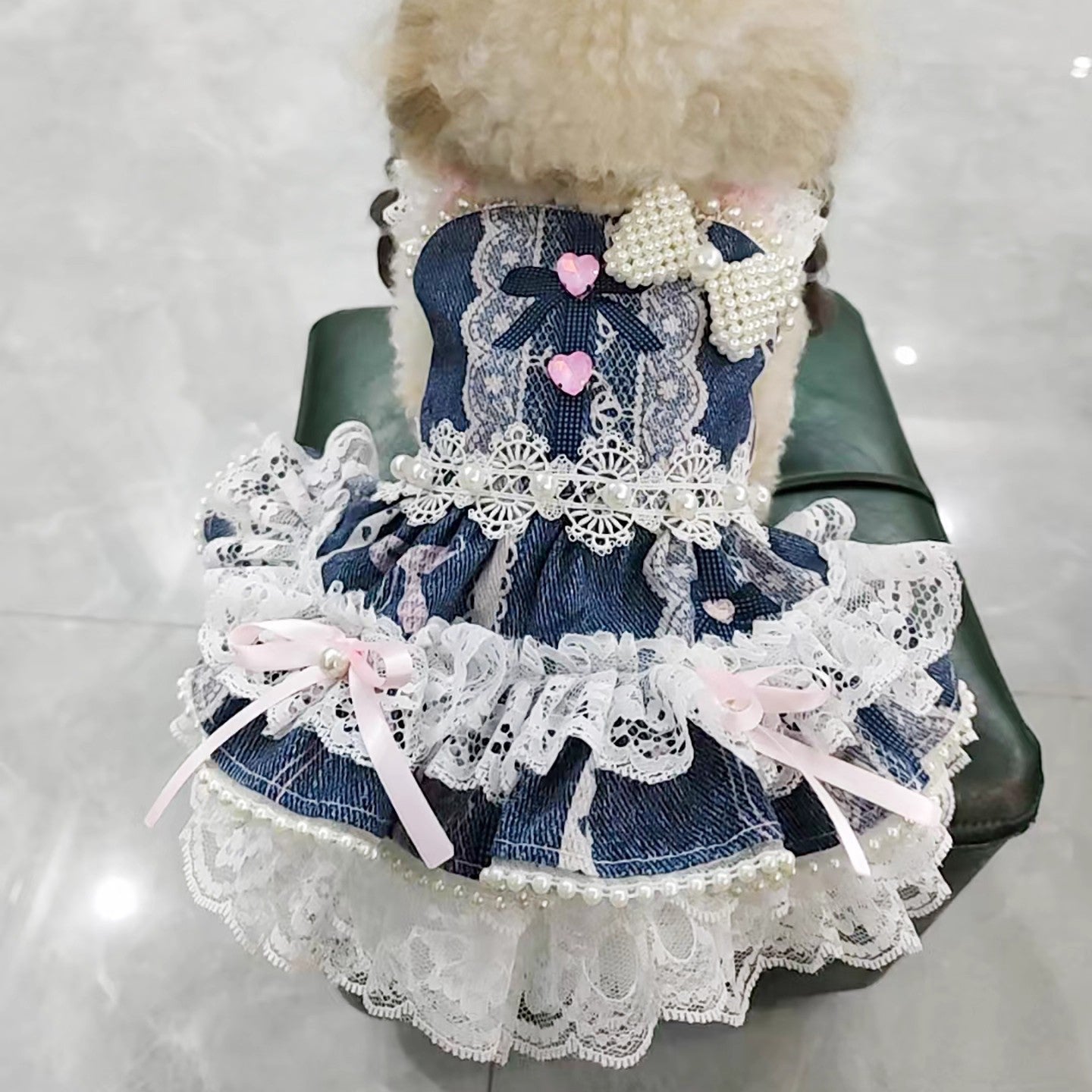 {{product_title}} - Cookies Wagging Friends Boutique