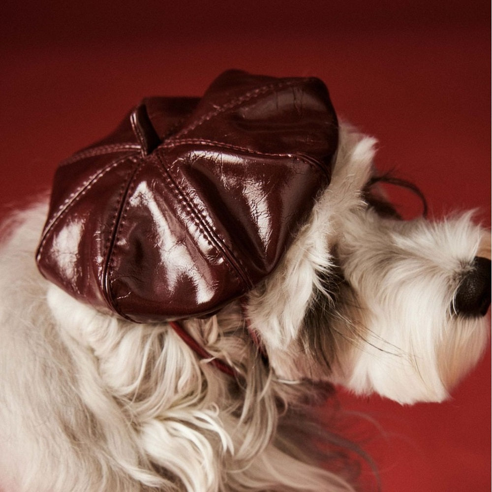 {{product_title}} - Cookies Wagging Friends Boutique