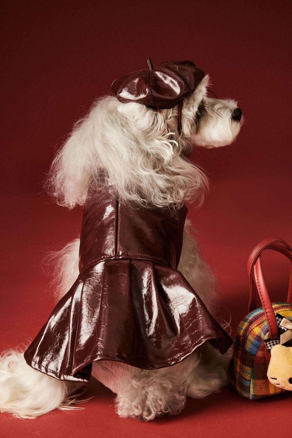 {{product_title}} - Cookies Wagging Friends Boutique