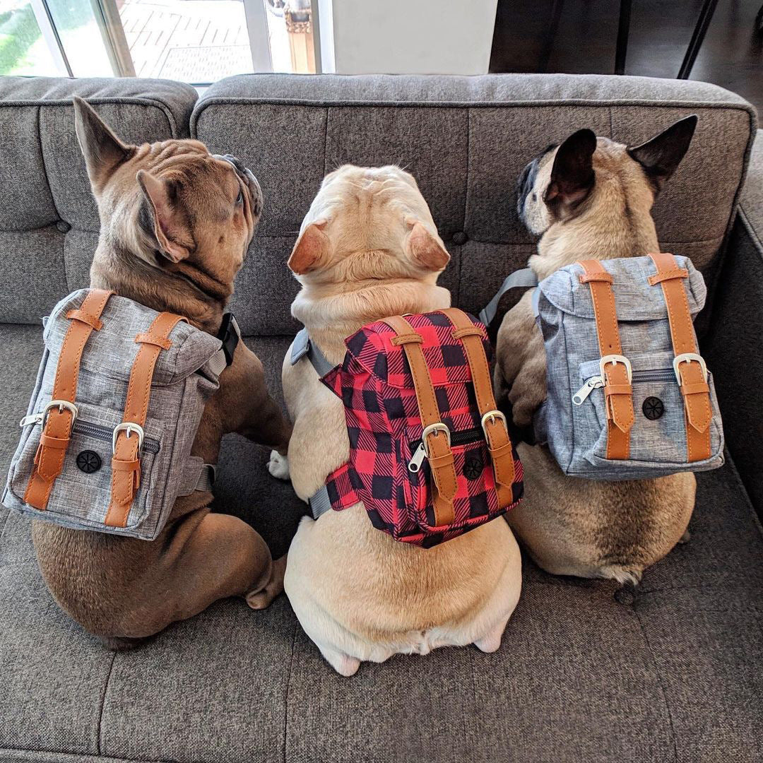 {{product_title}} - Cookies Wagging Friends Boutique