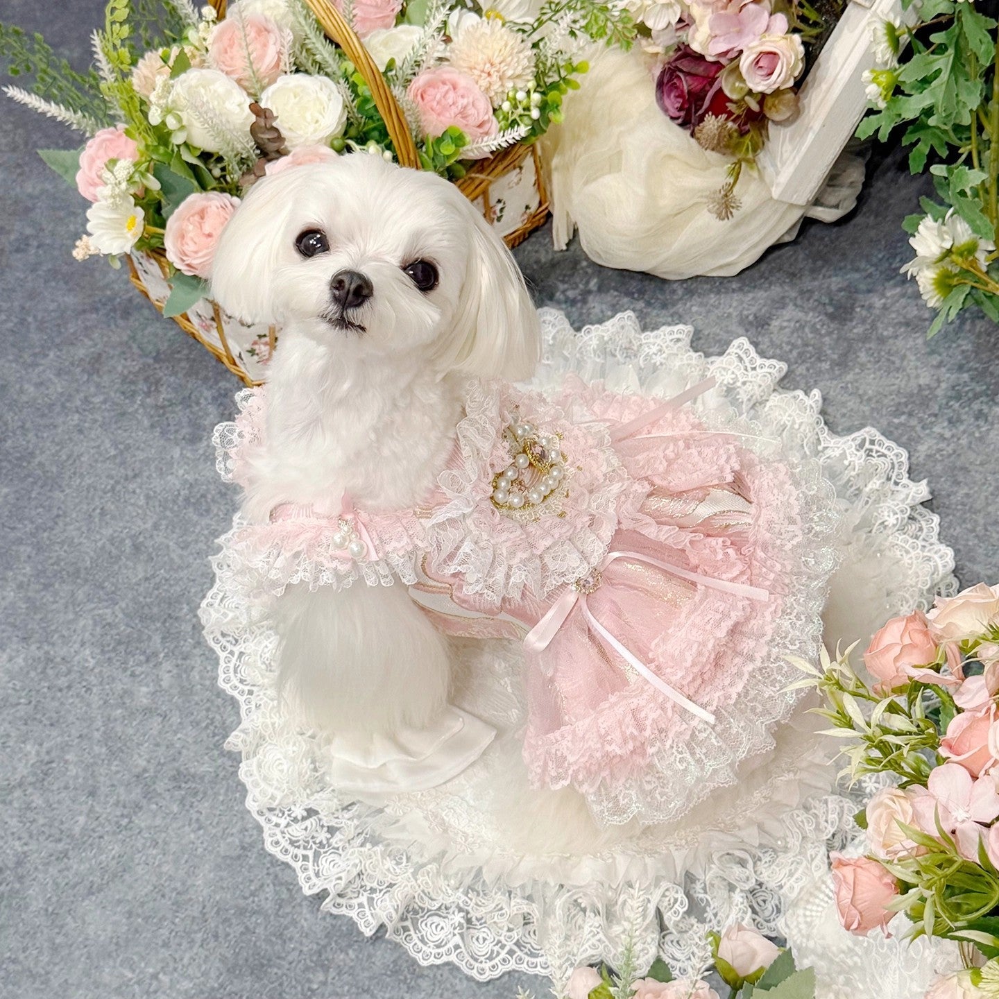 {{product_title}} - Cookies Wagging Friends Boutique