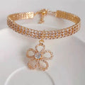 {{product_title}} - Cookies Wagging Friends Boutique