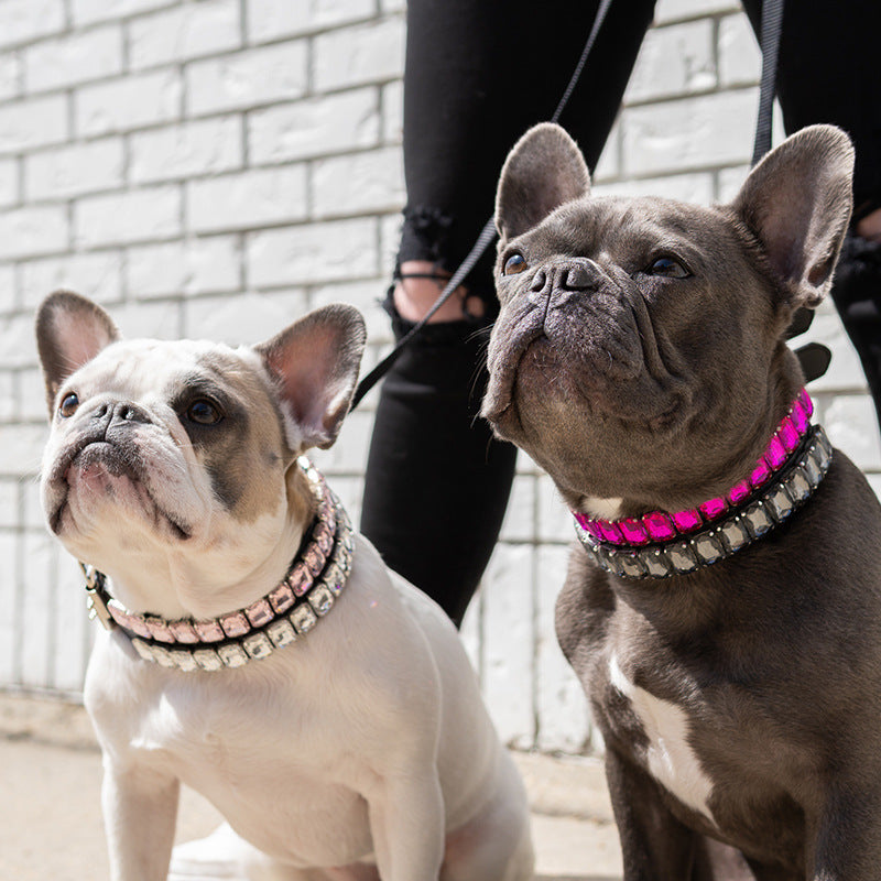 {{product_title}} - Cookies Wagging Friends Boutique