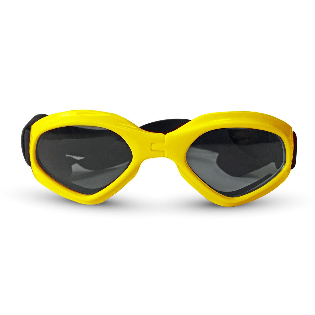 {{product_title}} - Cookies Wagging Friends Boutique