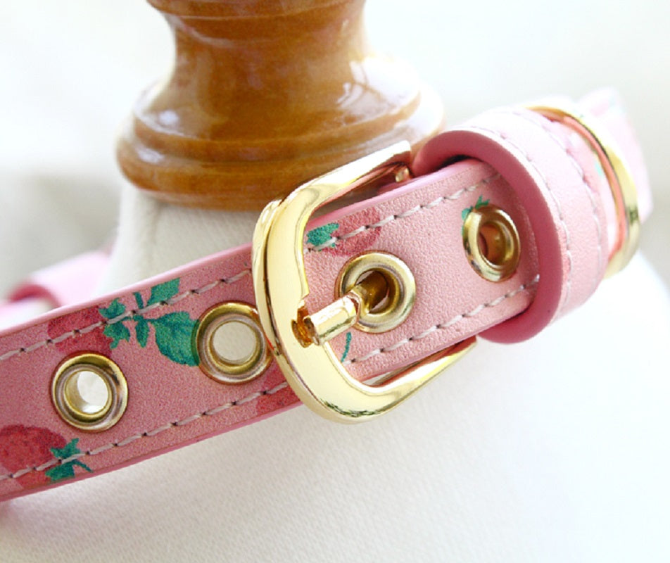{{product_title}} - Cookies Wagging Friends Boutique