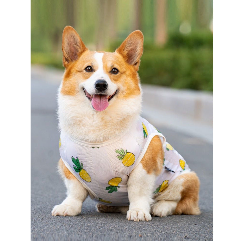 {{product_title}} - Cookies Wagging Friends Boutique