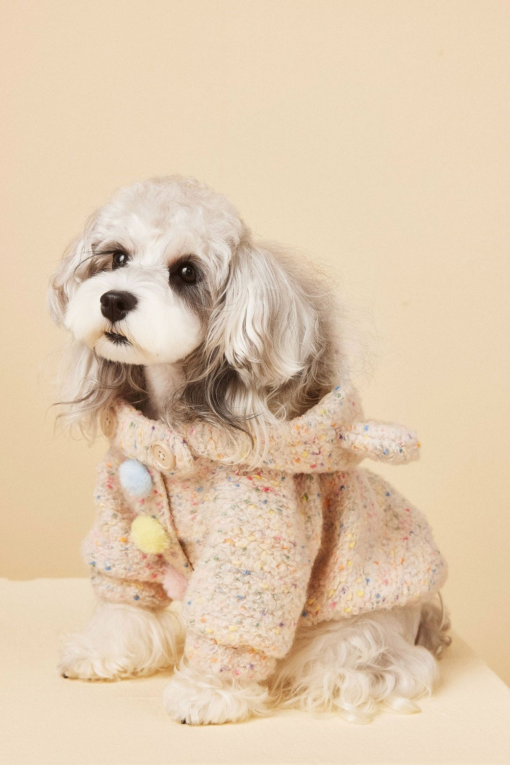 {{product_title}} - Cookies Wagging Friends Boutique