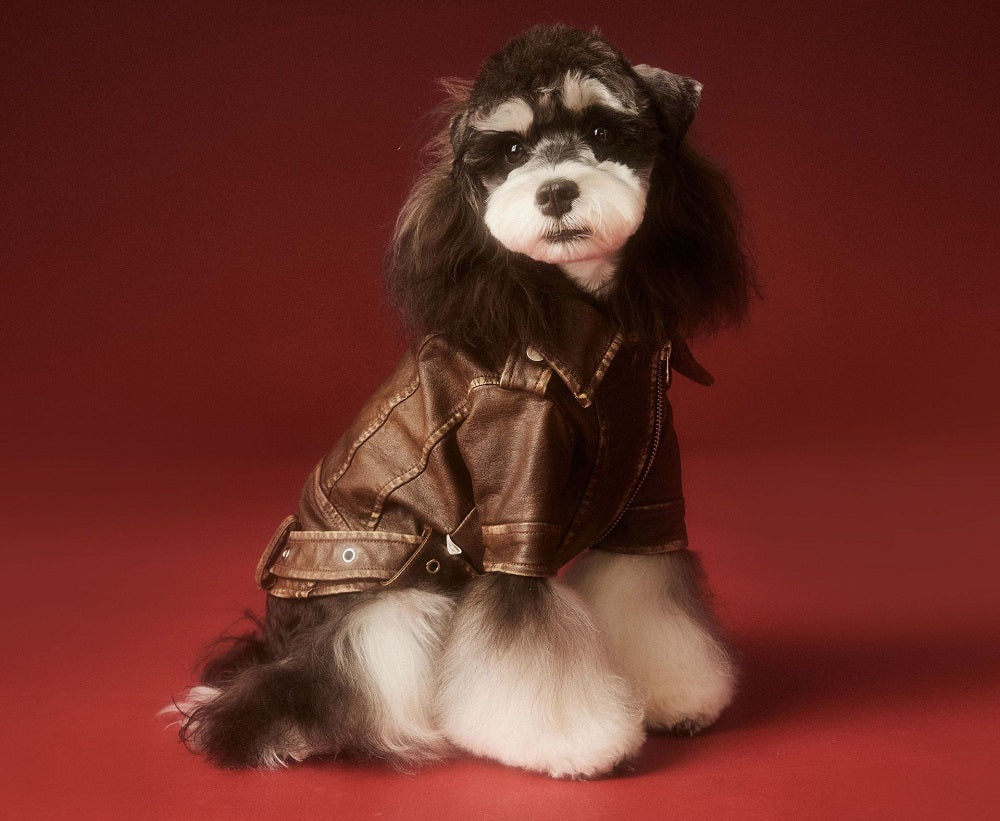 {{product_title}} - Cookies Wagging Friends Boutique