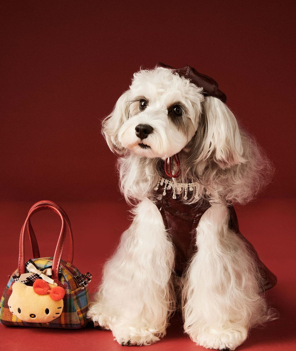 {{product_title}} - Cookies Wagging Friends Boutique
