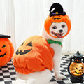 {{product_title}} - Cookies Wagging Friends Boutique