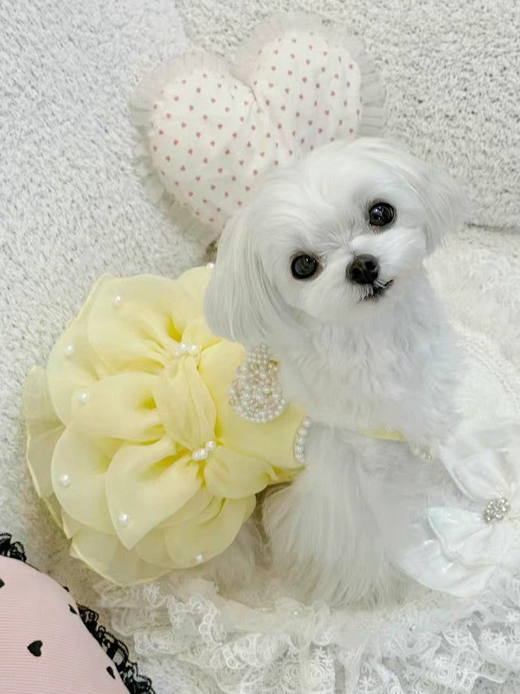 {{product_title}} - Cookies Wagging Friends Boutique