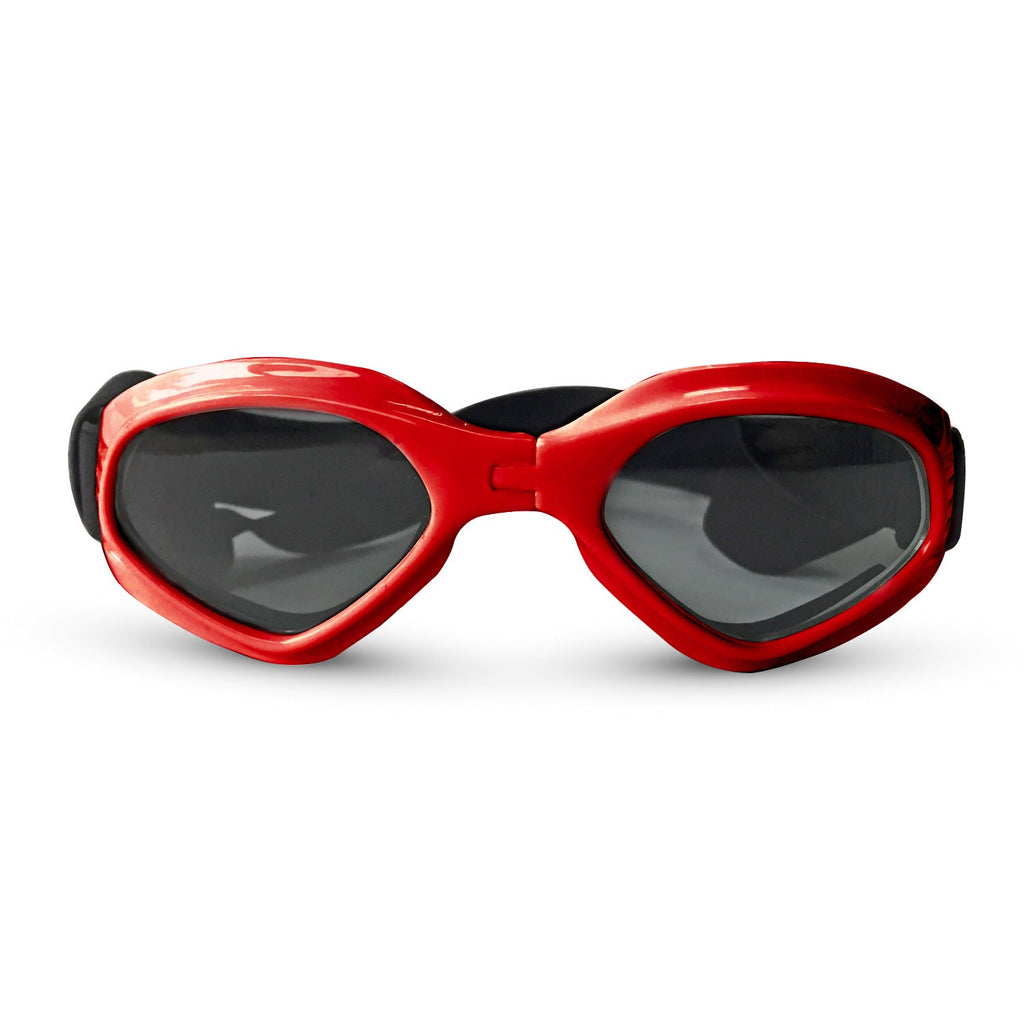 {{product_title}} - Cookies Wagging Friends Boutique
