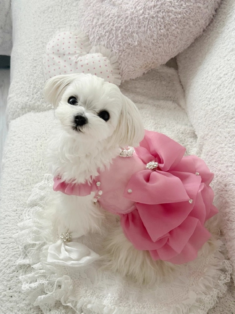 {{product_title}} - Cookies Wagging Friends Boutique