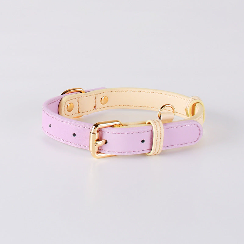 {{product_title}} - Cookies Wagging Friends Boutique