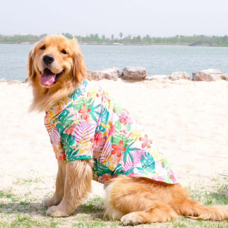 {{product_title}} - Cookies Wagging Friends Boutique