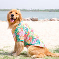 {{product_title}} - Cookies Wagging Friends Boutique