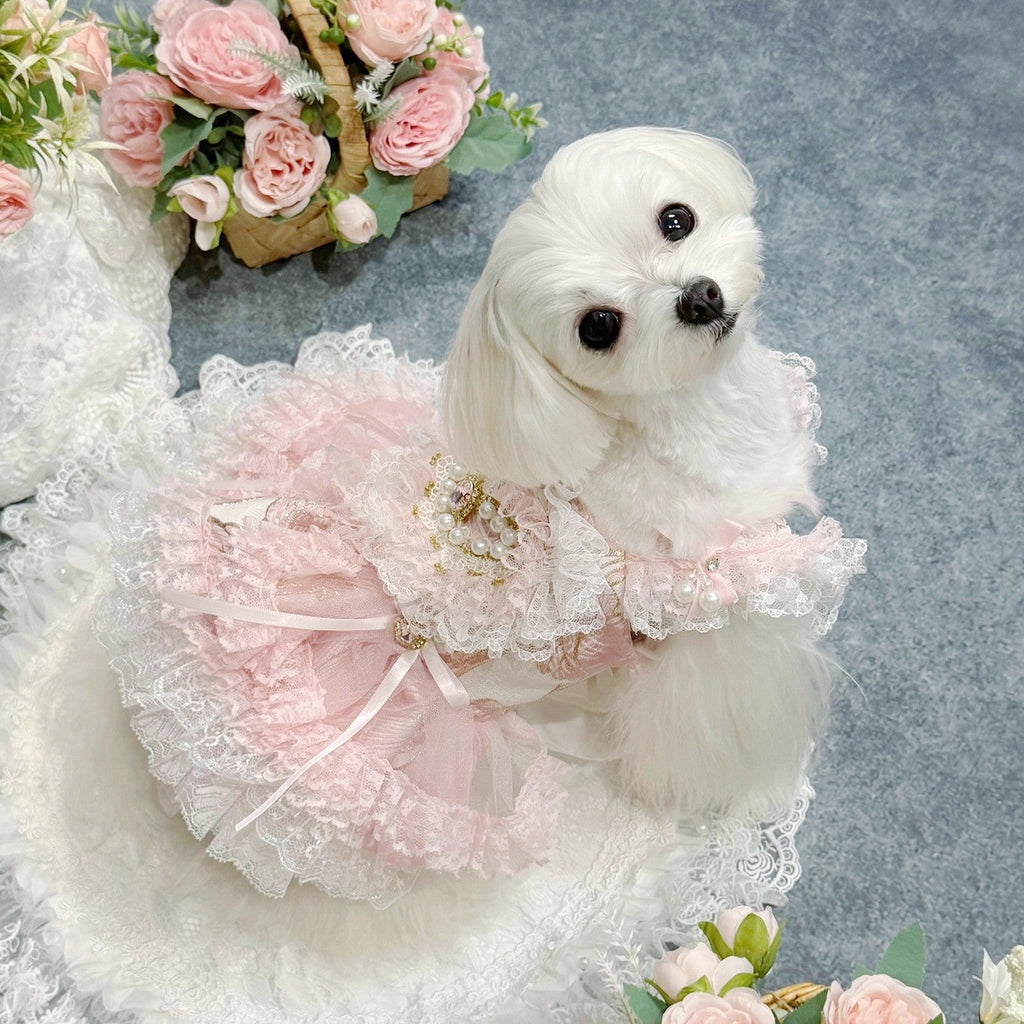 {{product_title}} - Cookies Wagging Friends Boutique
