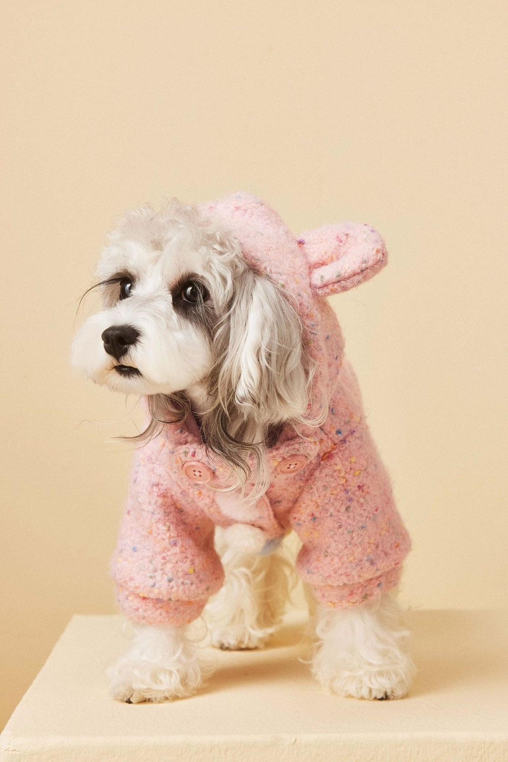 {{product_title}} - Cookies Wagging Friends Boutique