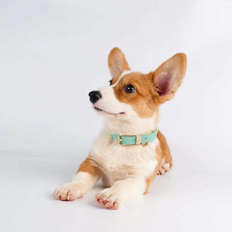 {{product_title}} - Cookies Wagging Friends Boutique