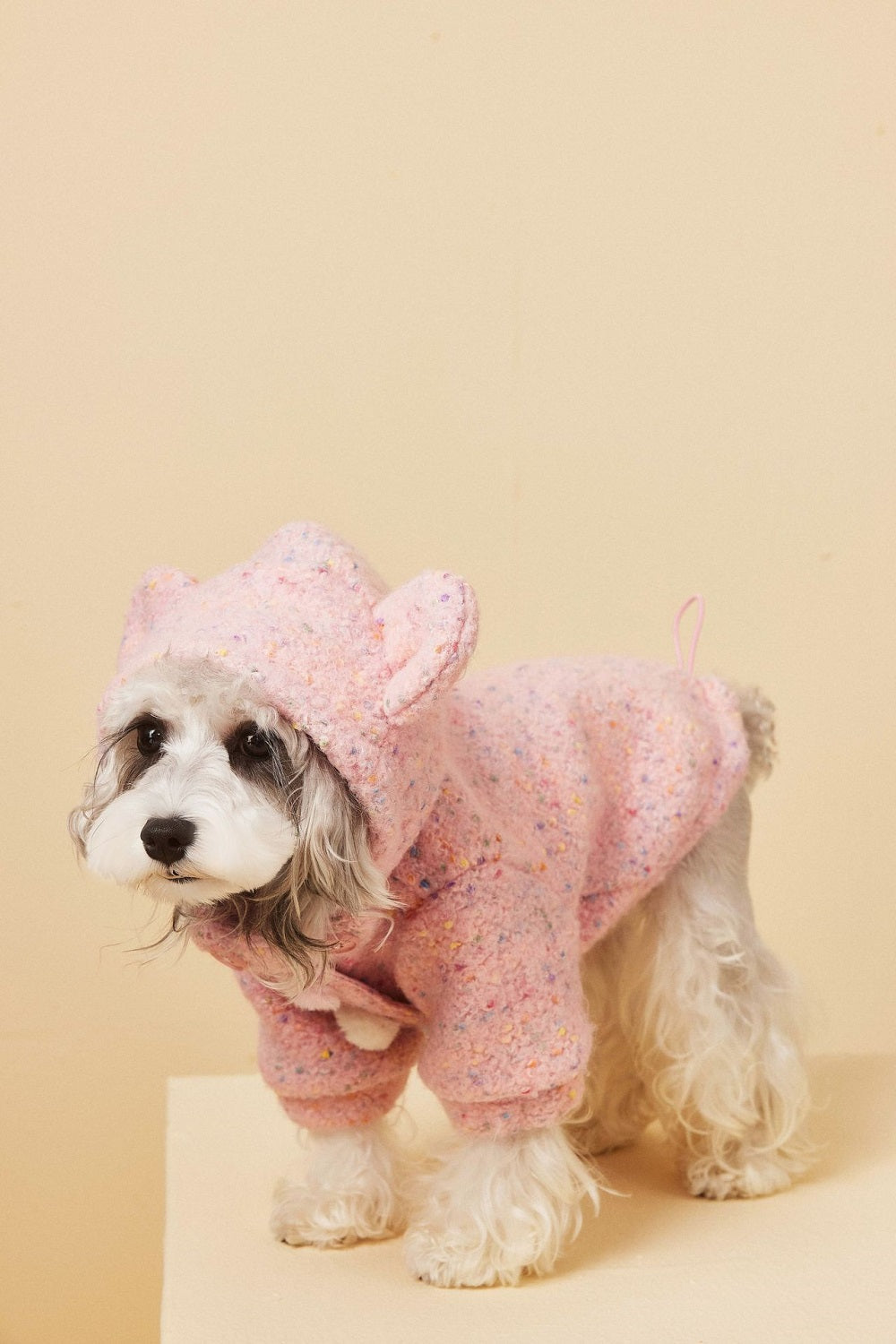 {{product_title}} - Cookies Wagging Friends Boutique