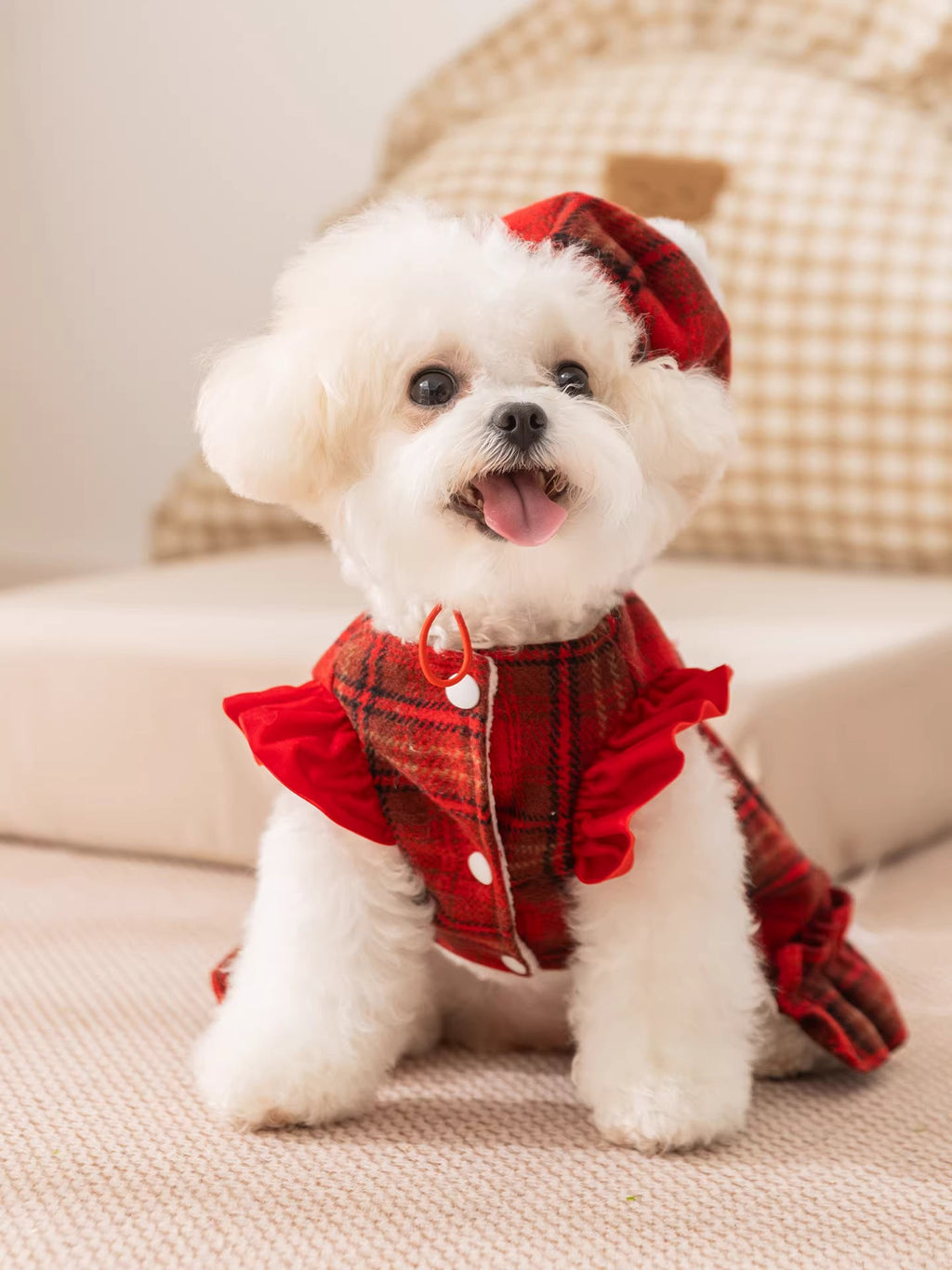 {{product_title}} - Cookies Wagging Friends Boutique