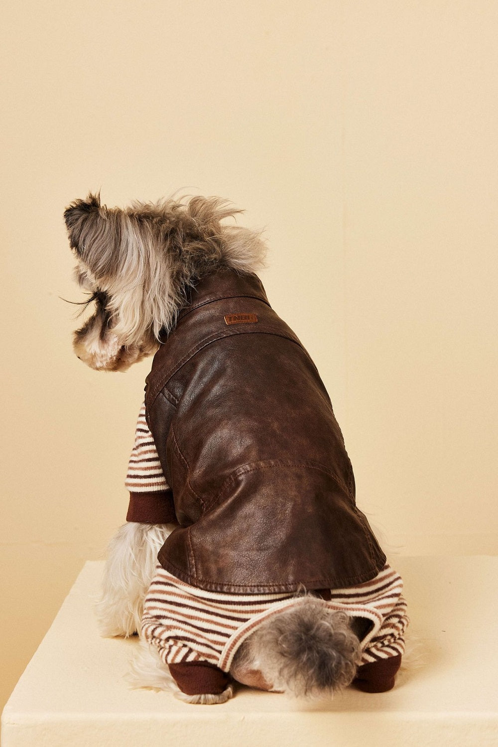 {{product_title}} - Cookies Wagging Friends Boutique