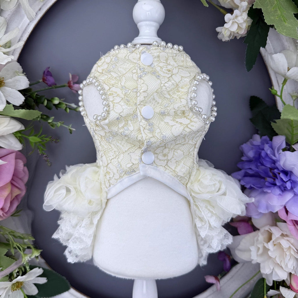 {{product_title}} - Cookies Wagging Friends Boutique