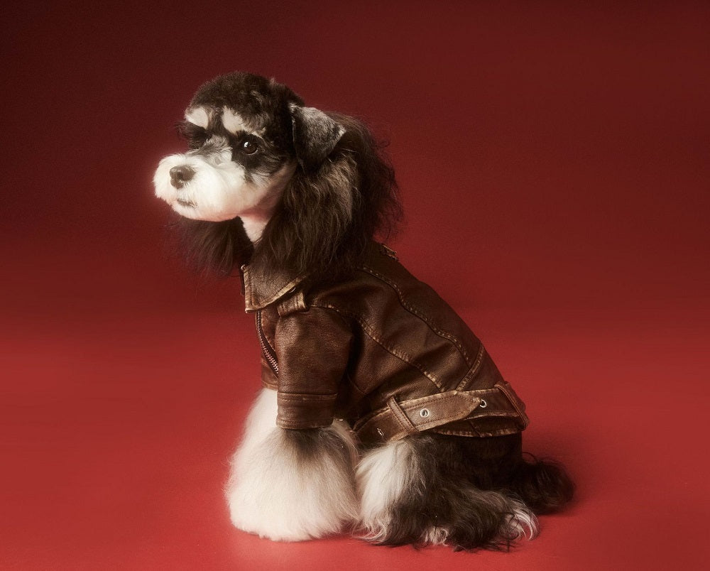 {{product_title}} - Cookies Wagging Friends Boutique