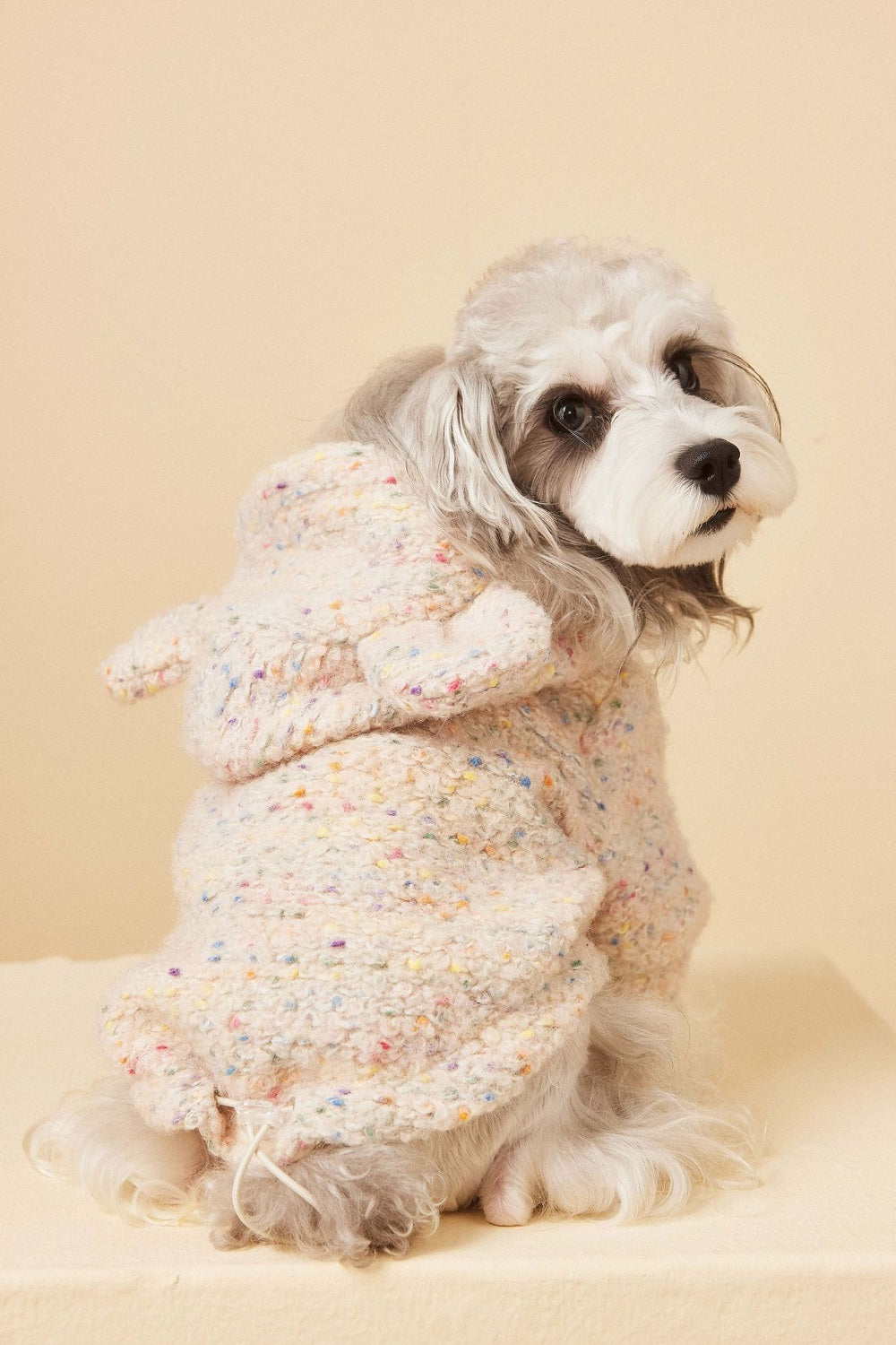{{product_title}} - Cookies Wagging Friends Boutique