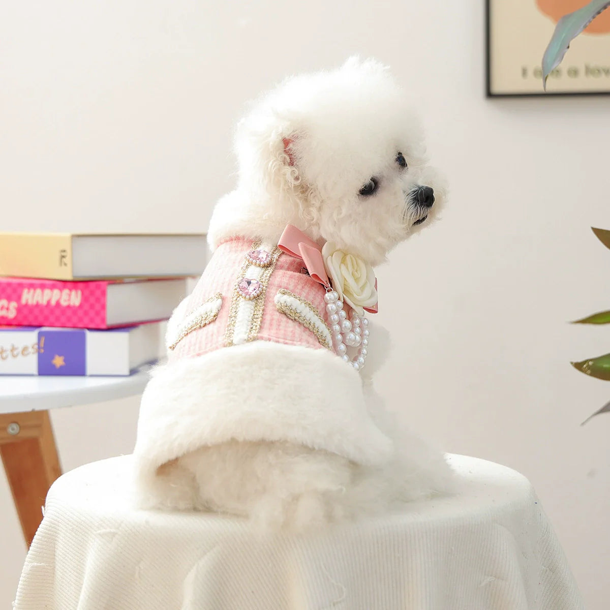 {{product_title}} - Cookies Wagging Friends Boutique