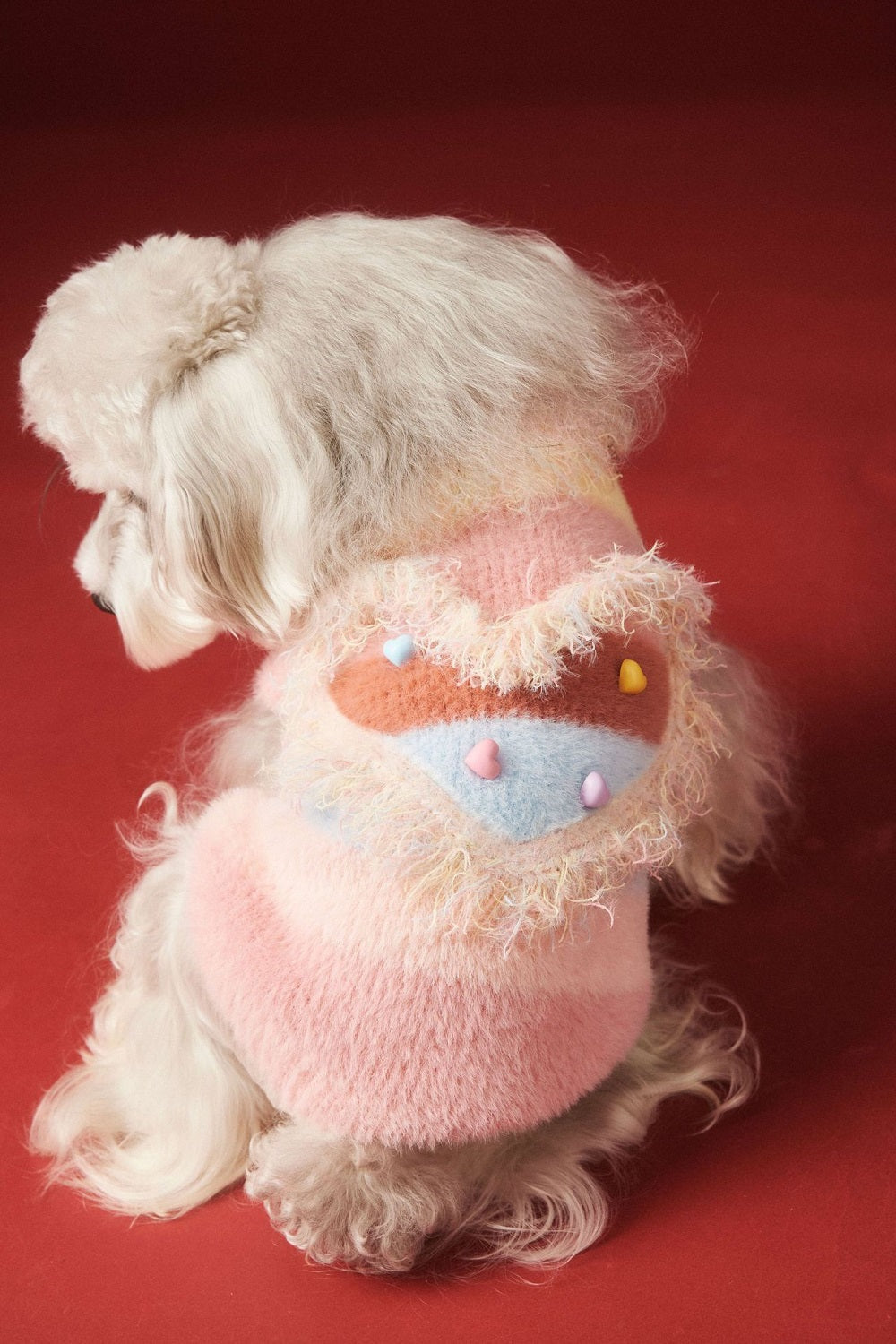 {{product_title}} - Cookies Wagging Friends Boutique