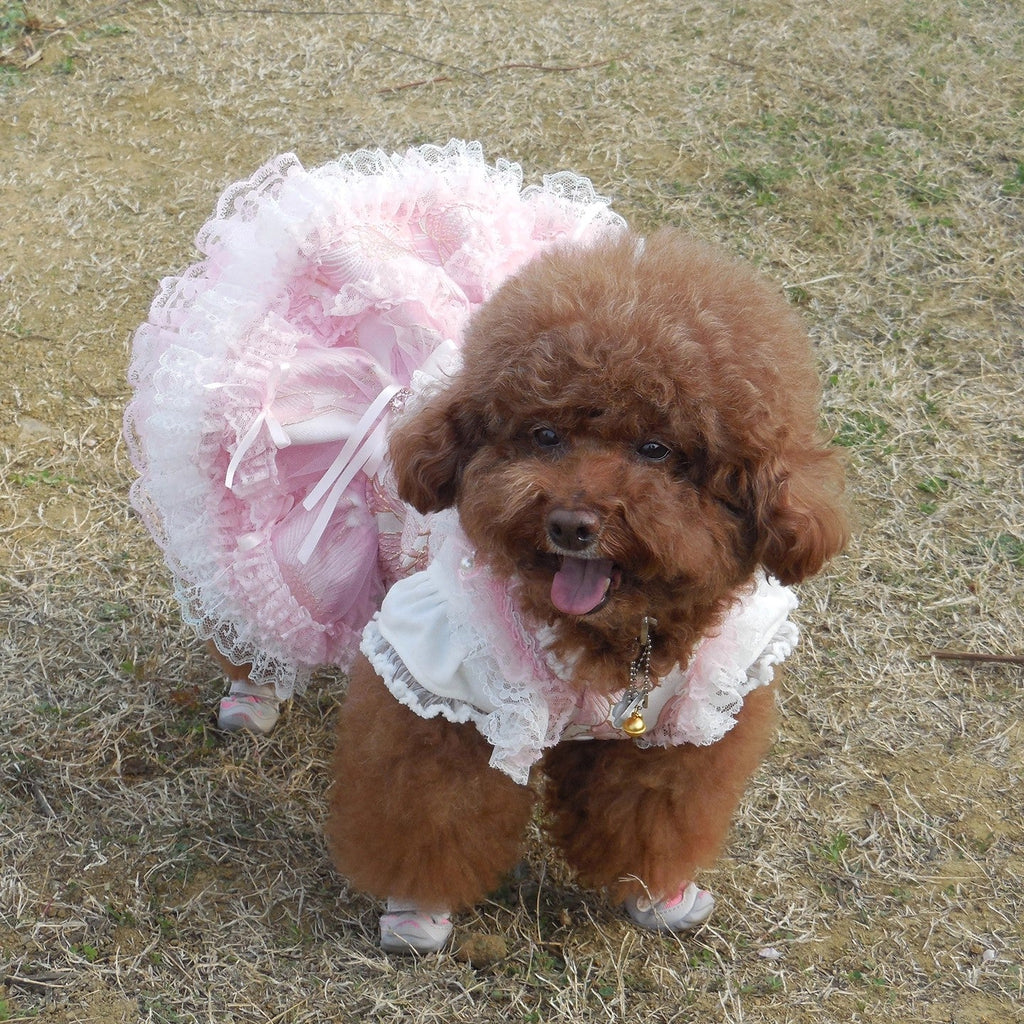 {{product_title}} - Cookies Wagging Friends Boutique