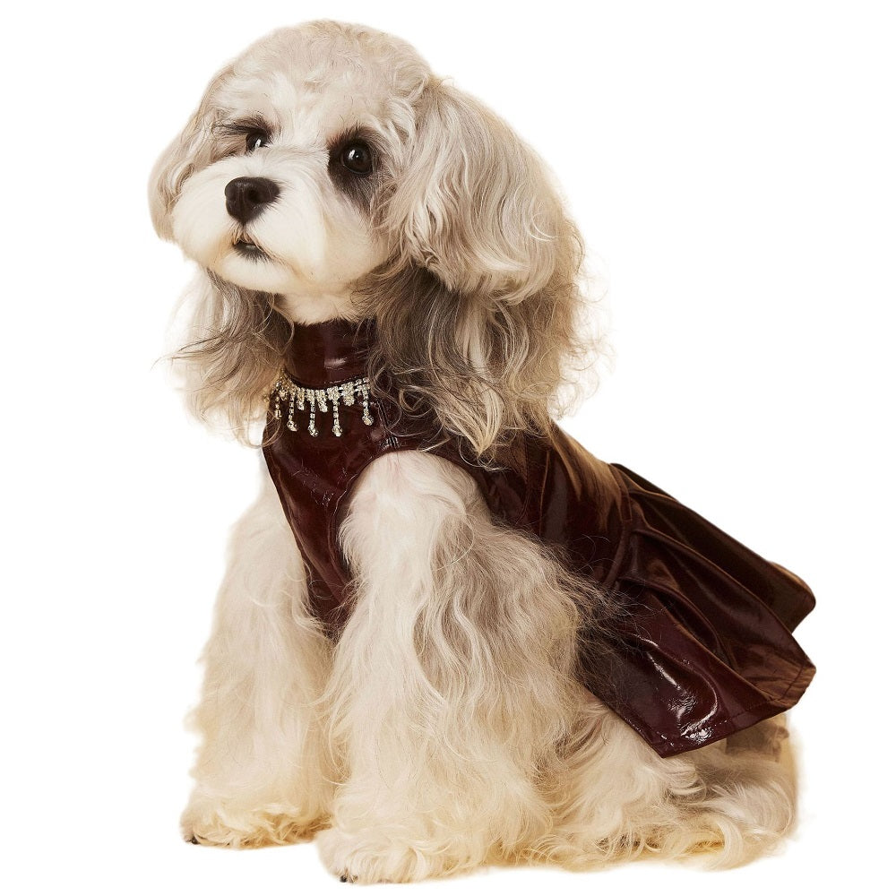 {{product_title}} - Cookies Wagging Friends Boutique