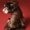 {{product_title}} - Cookies Wagging Friends Boutique