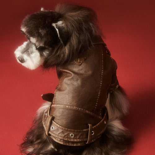 {{product_title}} - Cookies Wagging Friends Boutique