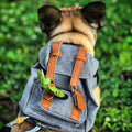 {{product_title}} - Cookies Wagging Friends Boutique