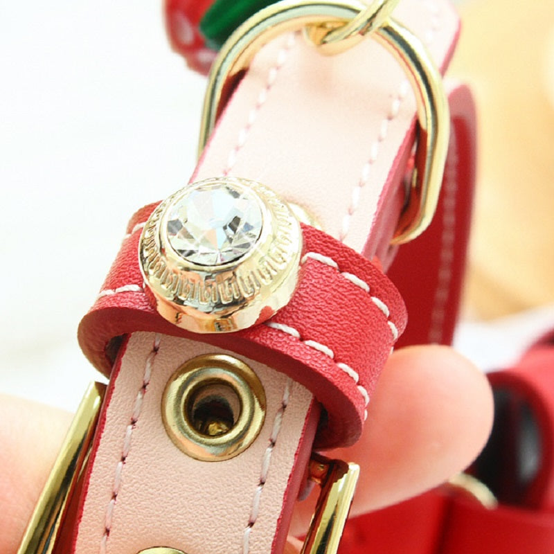 {{product_title}} - Cookies Wagging Friends Boutique