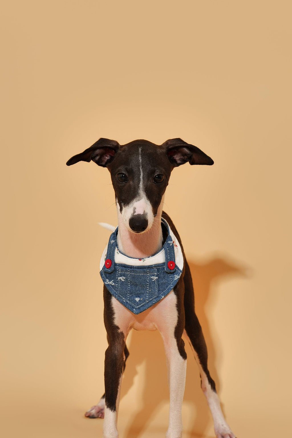Reversible Denim Cherry Overalls Pet Bandana