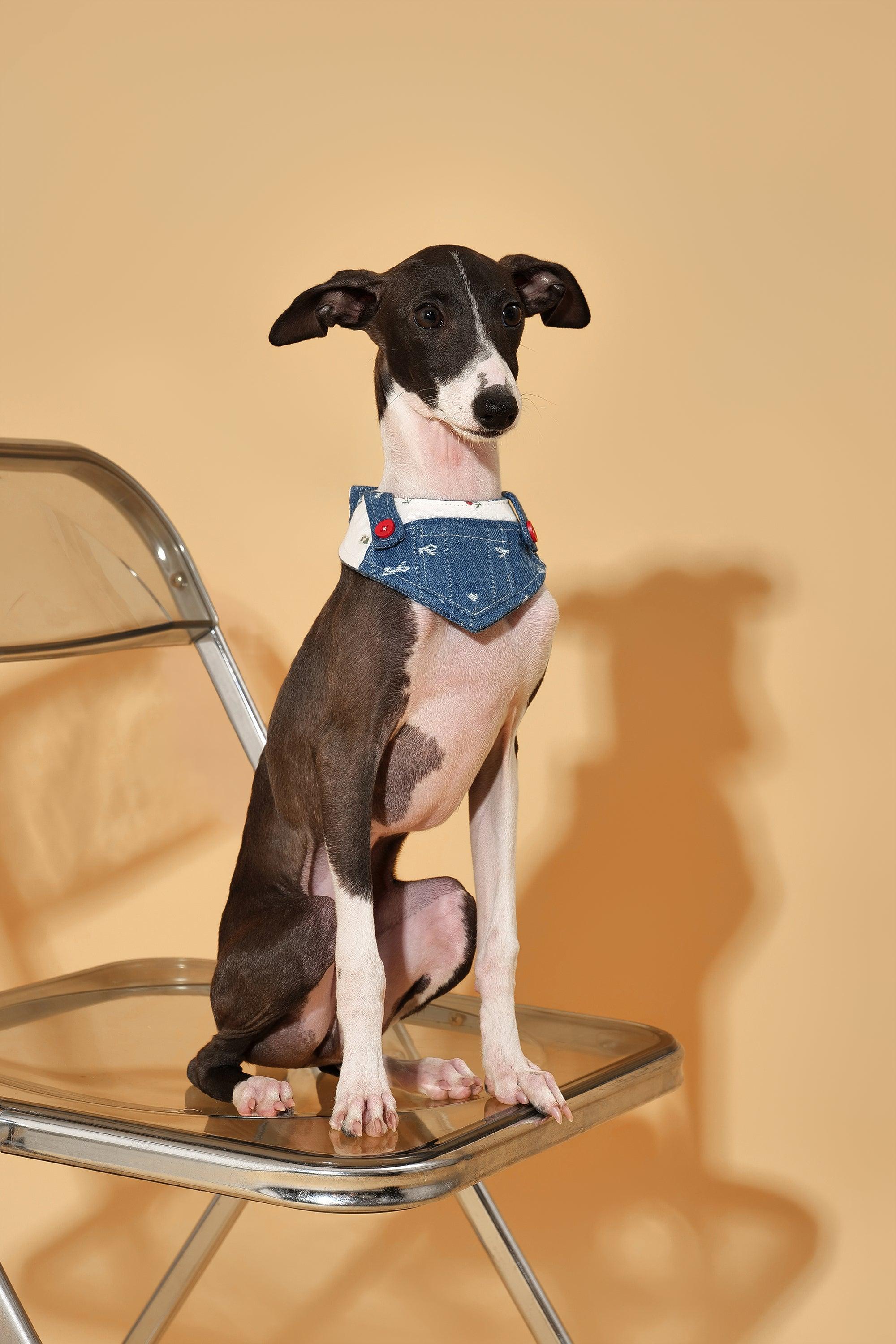 Reversible Denim Cherry Overalls Pet Bandana