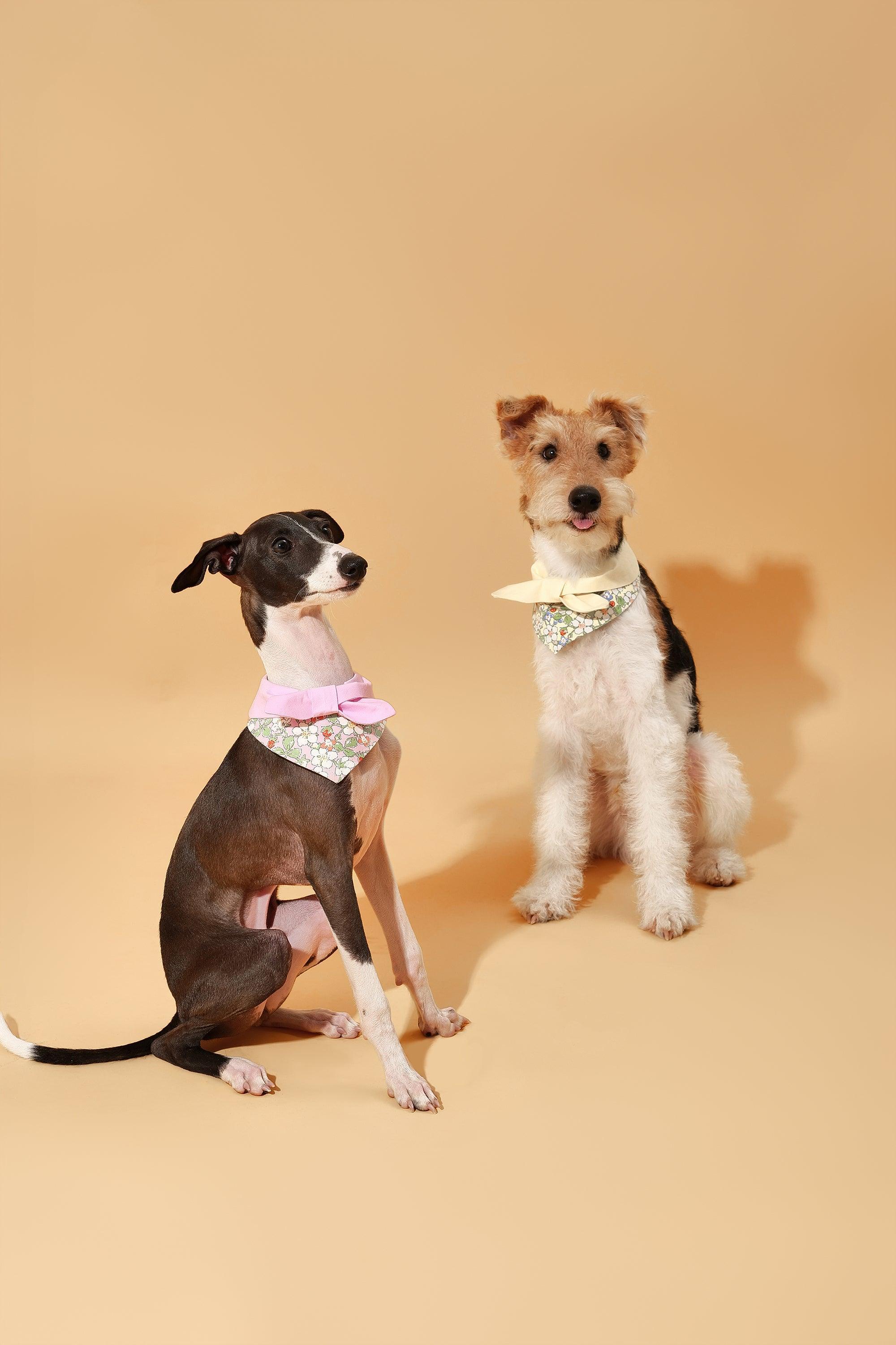 Bowtiful Garden Pink Floral Bandana