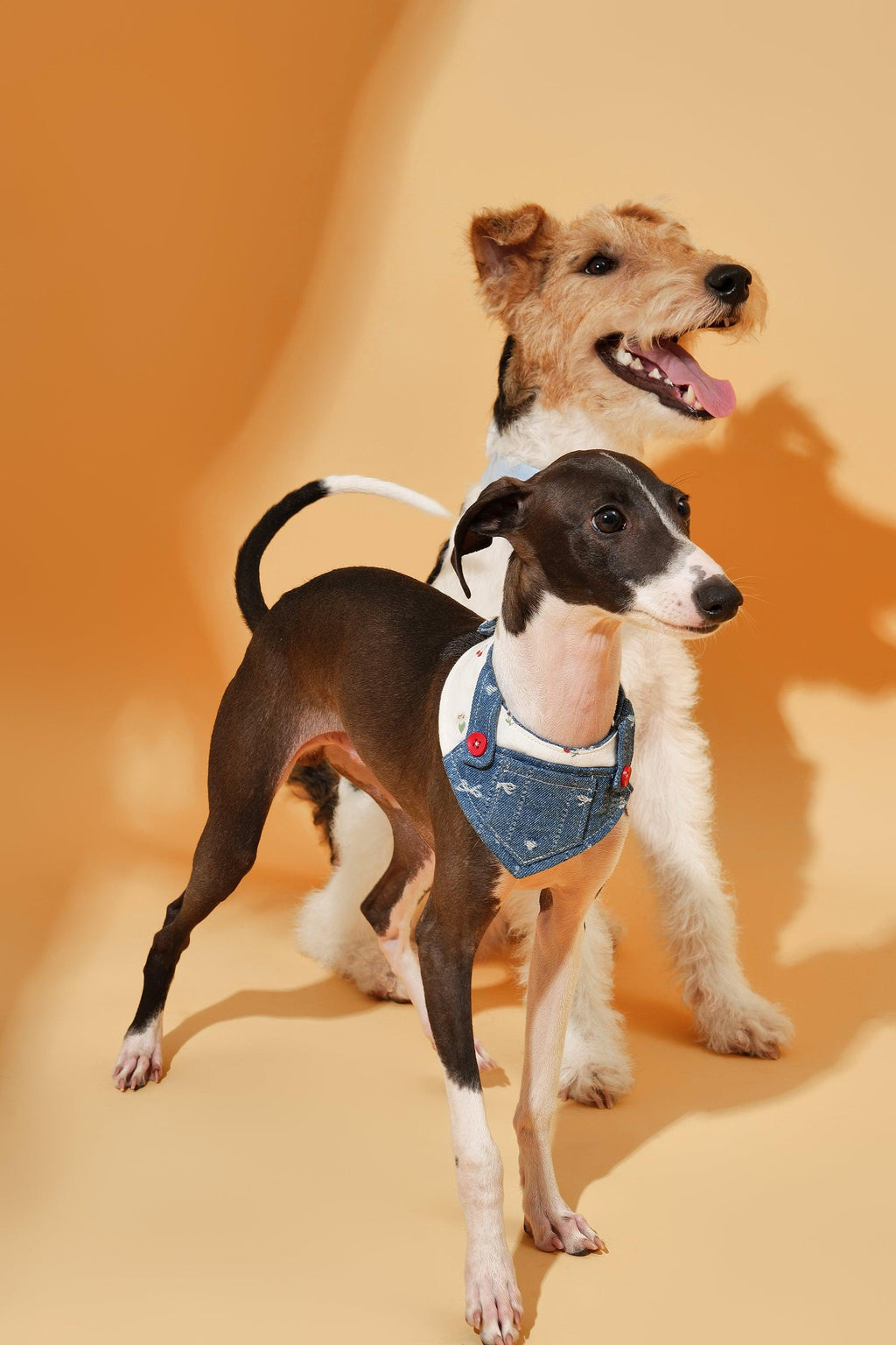 Reversible Denim Cherry Overalls Pet Bandana
