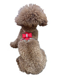{{product_title}} - Cookies Wagging Friends Boutique