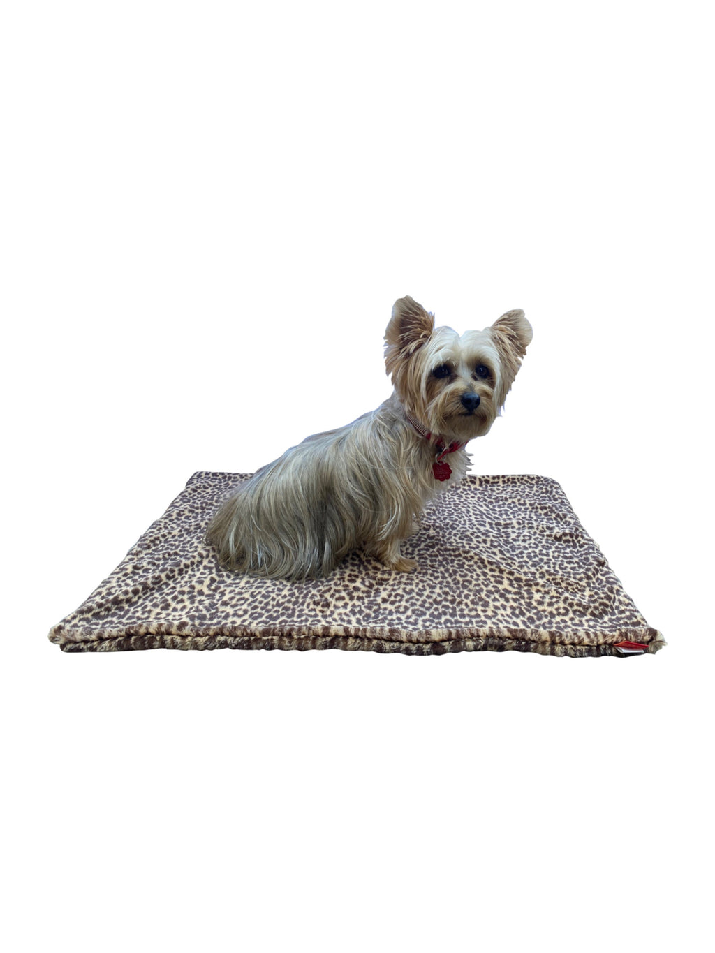 {{product_title}} - Cookies Wagging Friends Boutique
