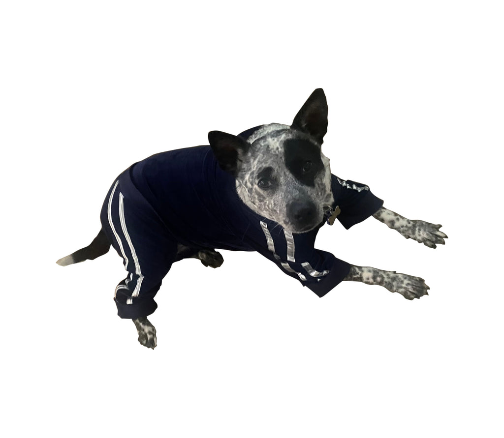 {{product_title}} - Cookies Wagging Friends Boutique