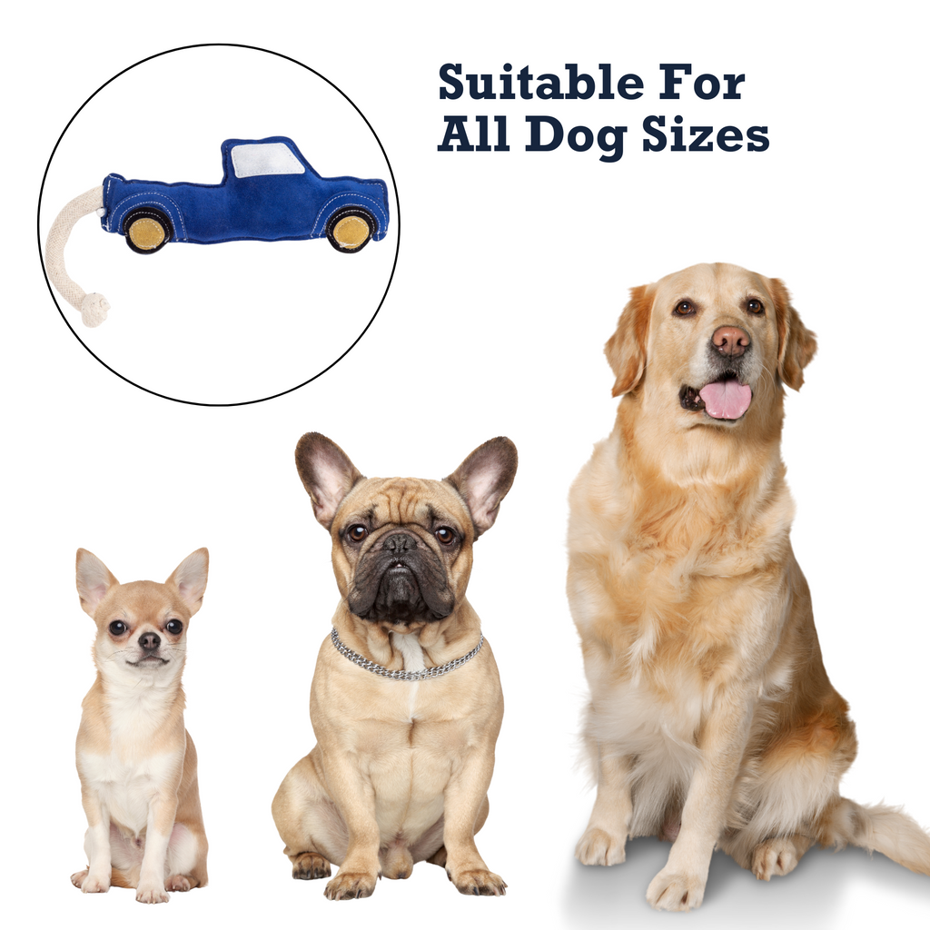 {{product_title}} - Cookies Wagging Friends Boutique