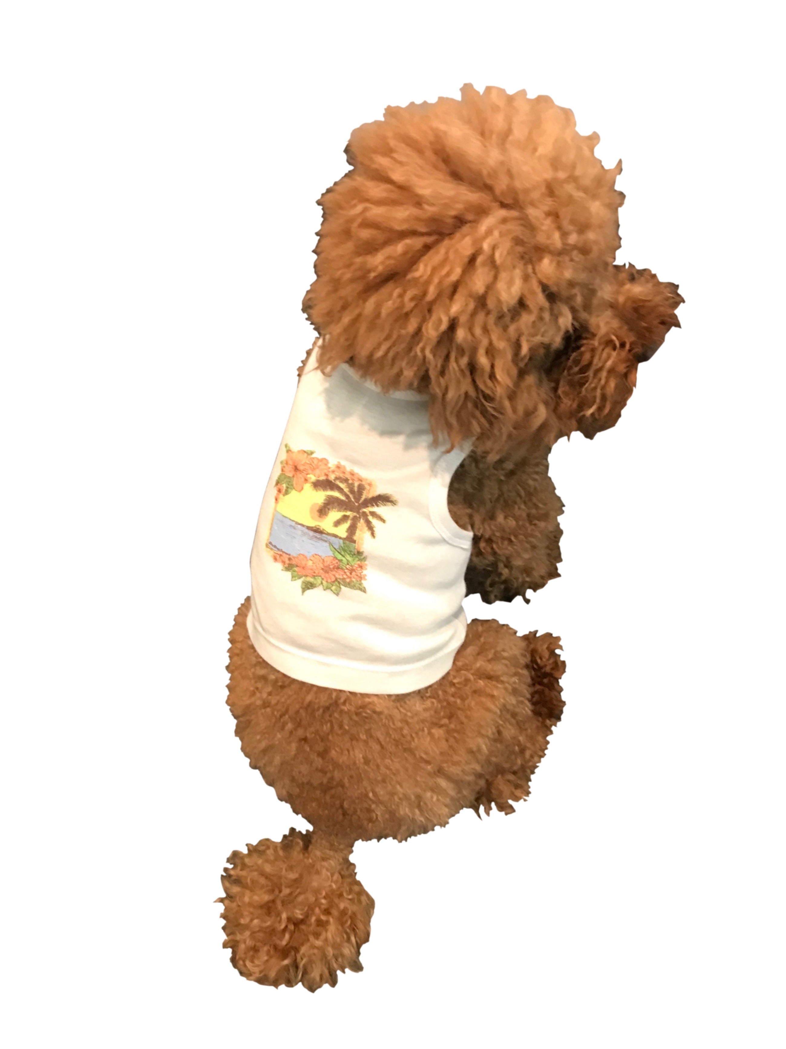 {{product_title}} - Cookies Wagging Friends Boutique